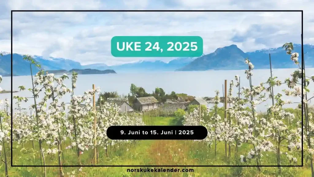 Uke 24 2025 kalender